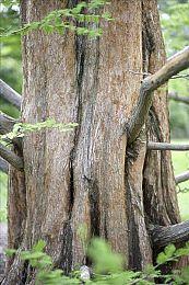 高能电玩节：战旗视觉小说《二分之一》10月21日发售